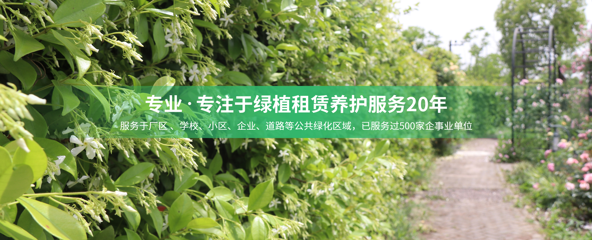 多乐游戏帐号注册