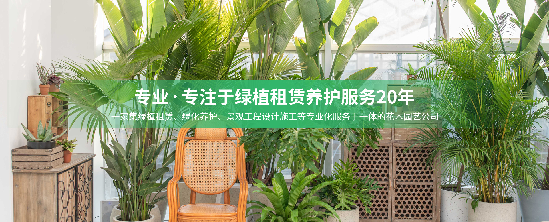 多乐游戏账号注册